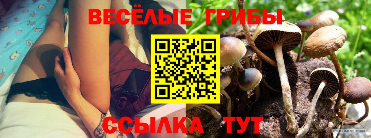 Анапа  Галлюциногенные грибы мухоморы  Вход с VPN 